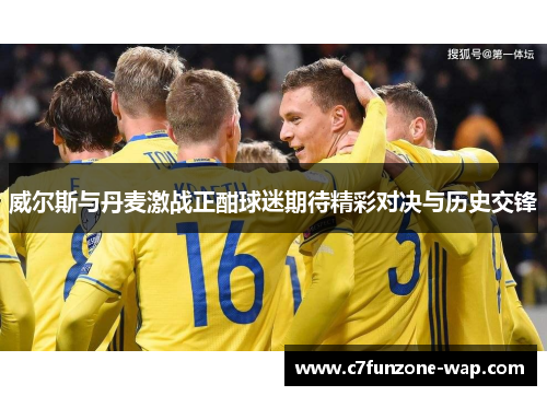威尔斯与丹麦激战正酣球迷期待精彩对决与历史交锋